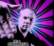 mr confus