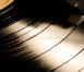 vinyl