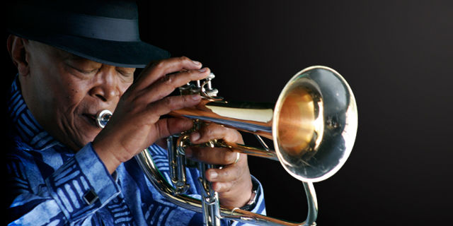 Masekela_image2_gradientWEB