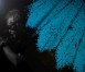 KRUSH_image1_long_TZ